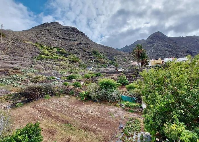 Casa Ana Con Jardin