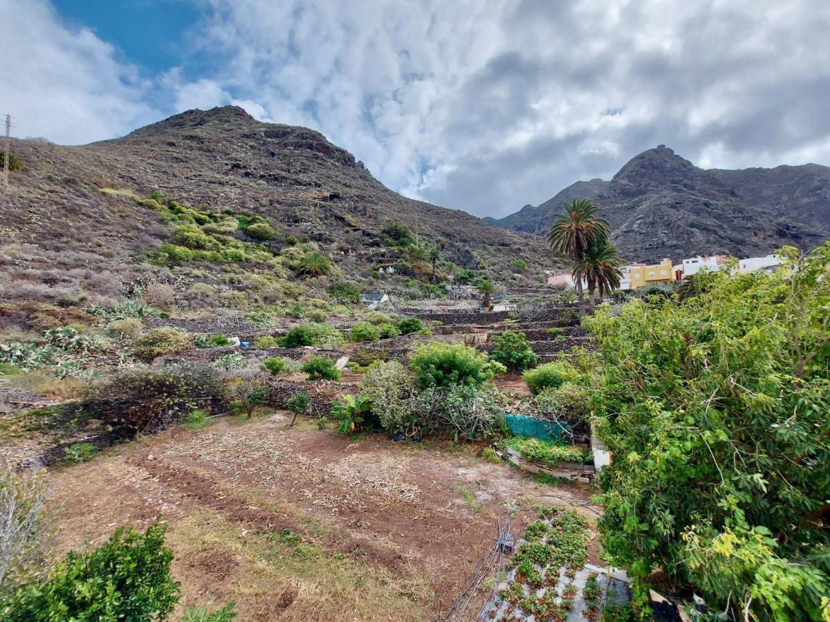 Apartamento Casa Ana Con Jardin Punta Del Hidalgo